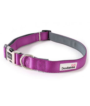 Doodlebone Bold Padded Collar - Purple Doodlebone Bold Padded Collar - Purple