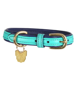 Digby & Fox Padded Leather Dog Collar Teal Digby & Fox Padded Leather Dog Collar Teal